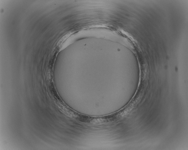 X0000075841169200610151537