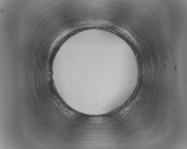 X0000075841172200610151537