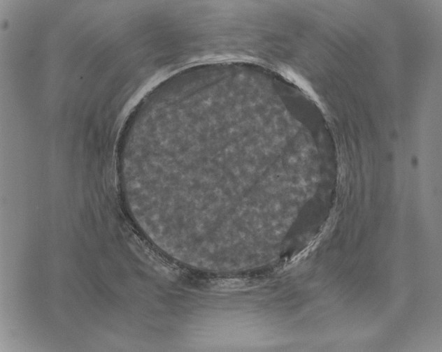 X0000075841173200610151537