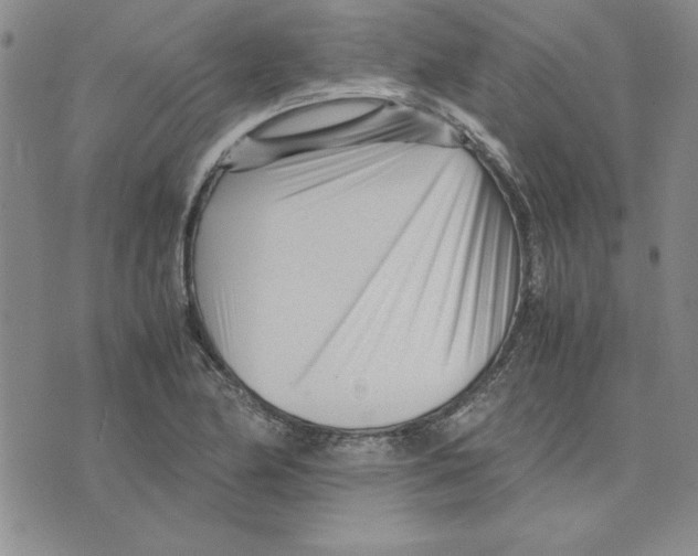 X0000075841174200610151537