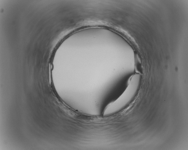 X0000075841175200610151537