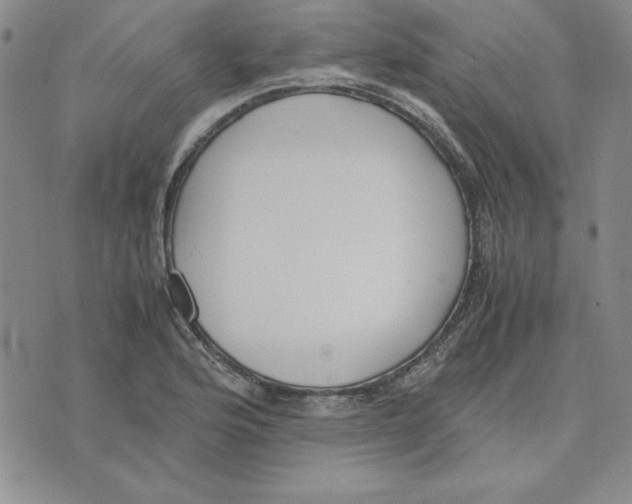 X0000075841176200610151537