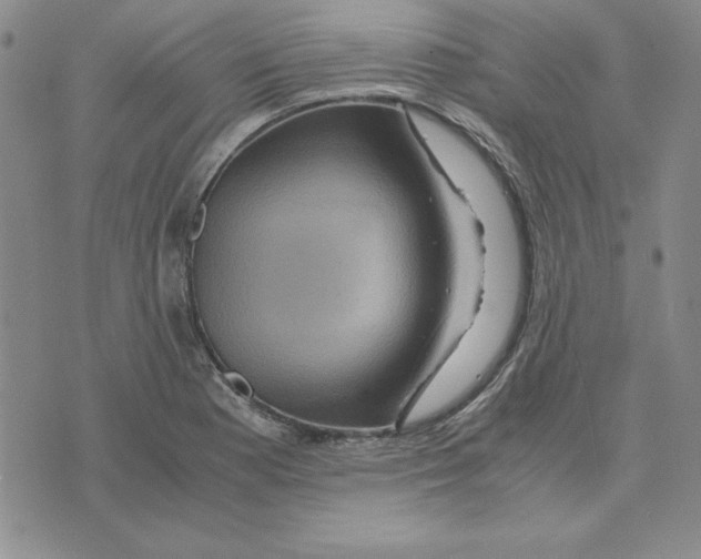 X0000075841177200610151537