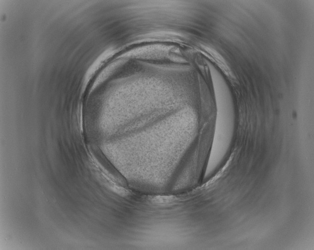 X0000075841180200610151537