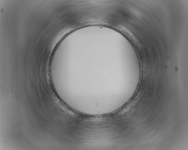 X0000075841182200610151537