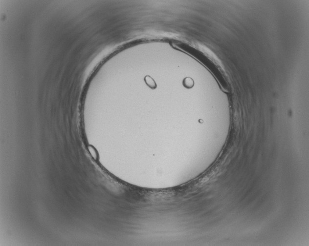 X0000075841183200610151537