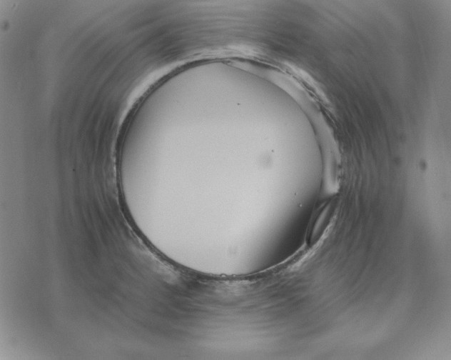 X0000075841184200610151537