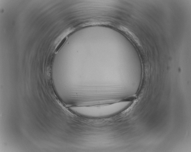 X0000075841185200610151537