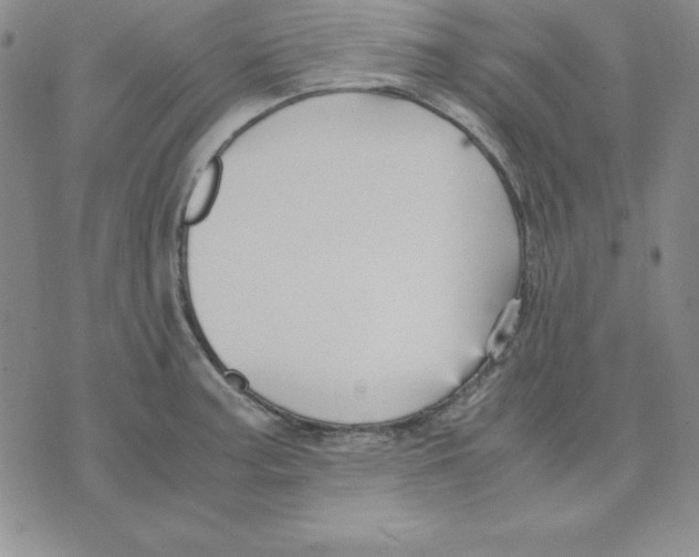 X0000075841187200610151537