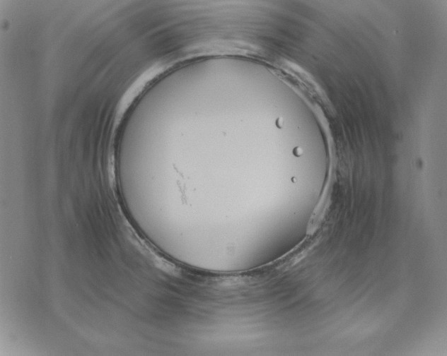 X0000075841188200610151537