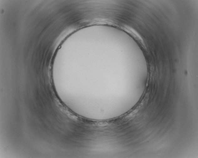 X0000075841190200610151537