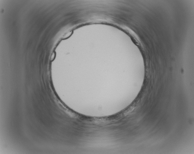 X0000075841191200610151537