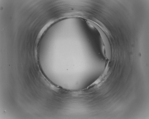 X0000075841196200610151537