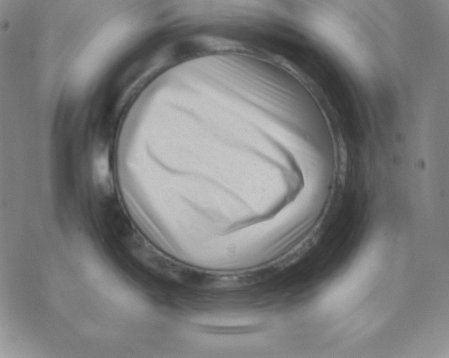 X0000075841198200610151537