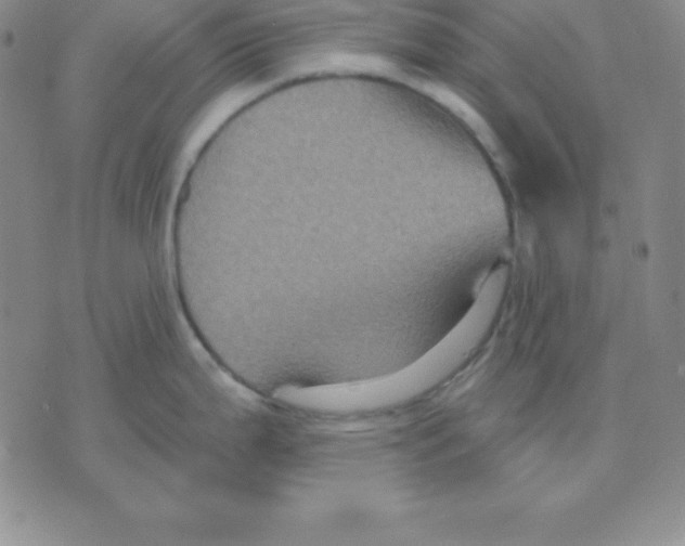 X0000075841199200610151537