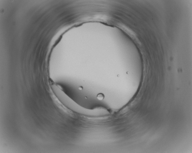 X0000075841200200610151537