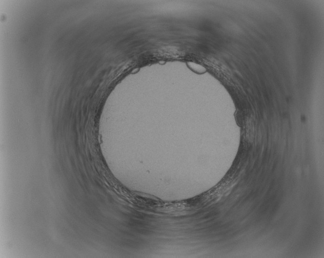 X0000075841201200610151536