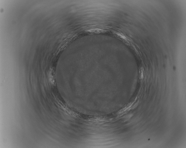 X0000075841202200610151536