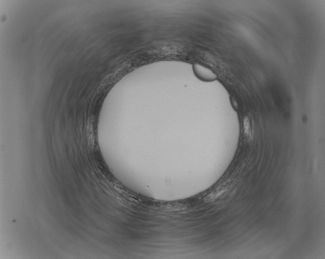 X0000075841203200610151536