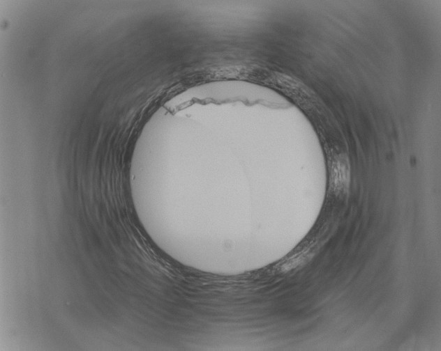 X0000075841204200610151536