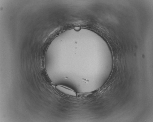 X0000075841205200610151536