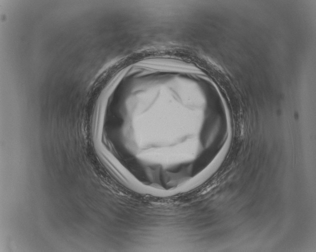 X0000075841206200610151536