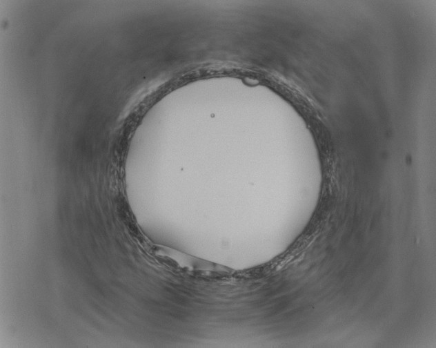 X0000075841207200610151536