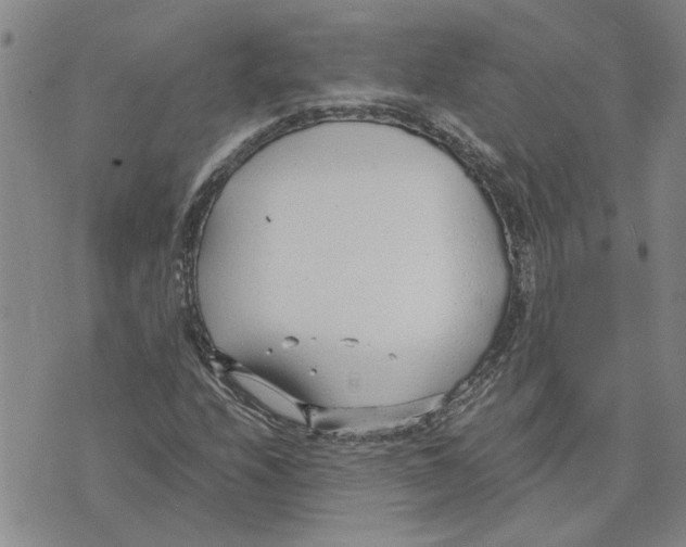 X0000075841208200610151536