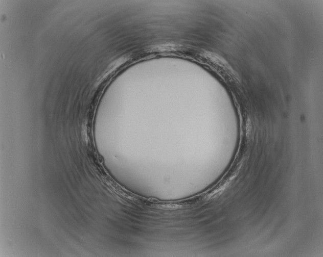 X0000075841209200610151536