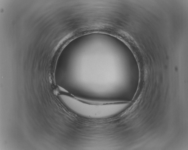 X0000075841210200610151536