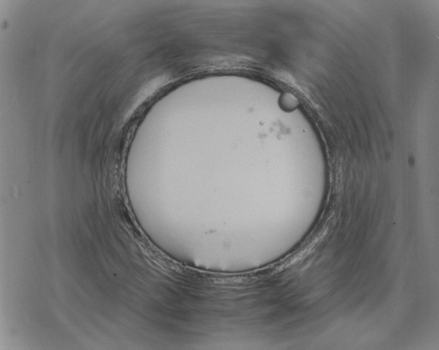 X0000075841211200610151536