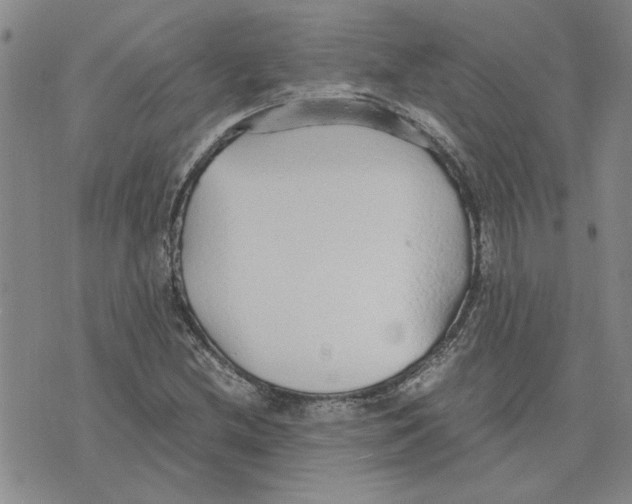 X0000075841212200610151536