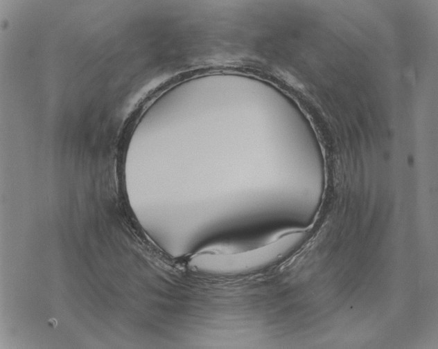 X0000075841214200610151536