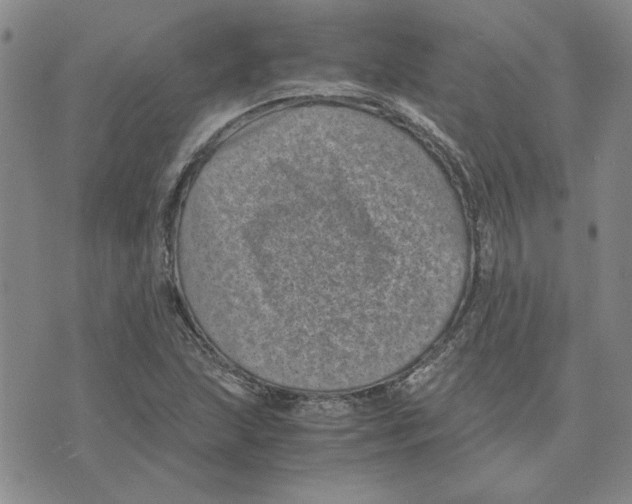 X0000075841215200610151536