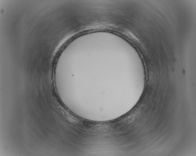 X0000075841216200610151536