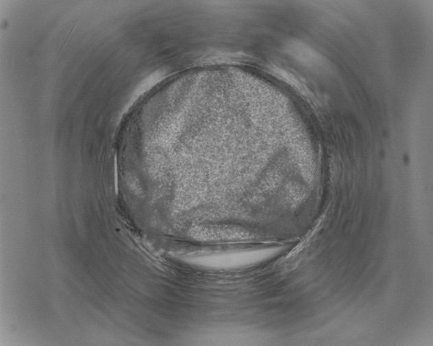 X0000075841219200610151537