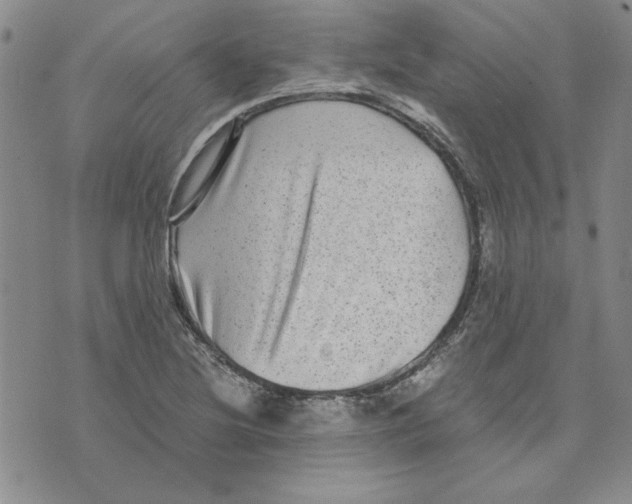 X0000075841220200610151537