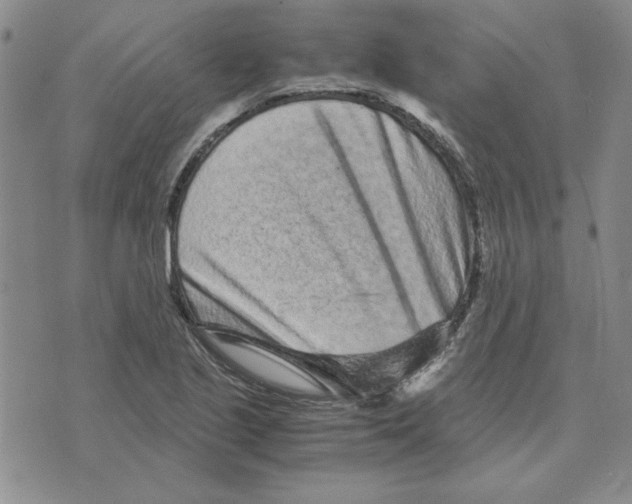 X0000075841221200610151537