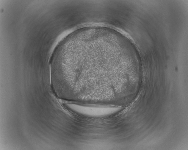 X0000075841223200610151537