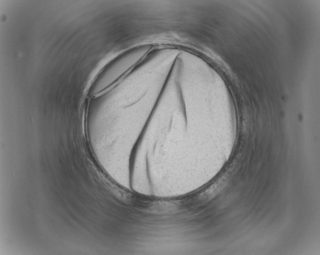 X0000075841224200610151537