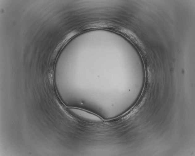 X0000075841225200610151537