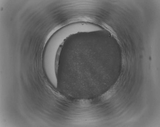 X0000075841226200610151537