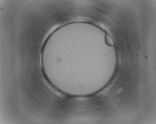 X0000075841227200610151537