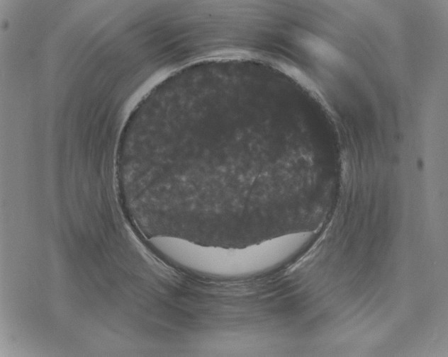 X0000075841229200610151537