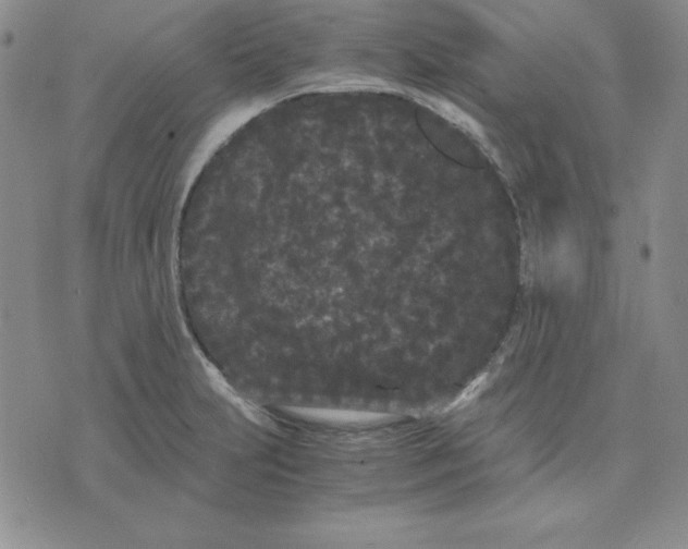 X0000075841231200610151537