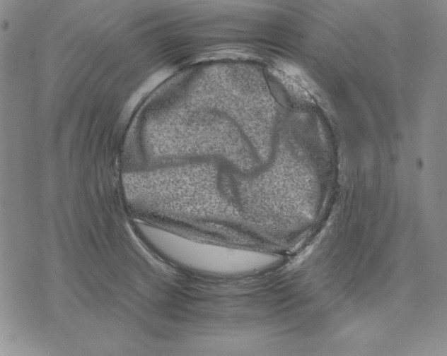 X0000075841233200610151537