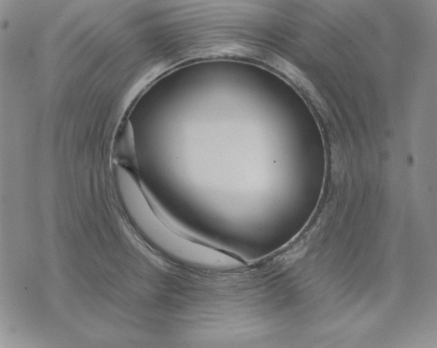 X0000075841234200610151537