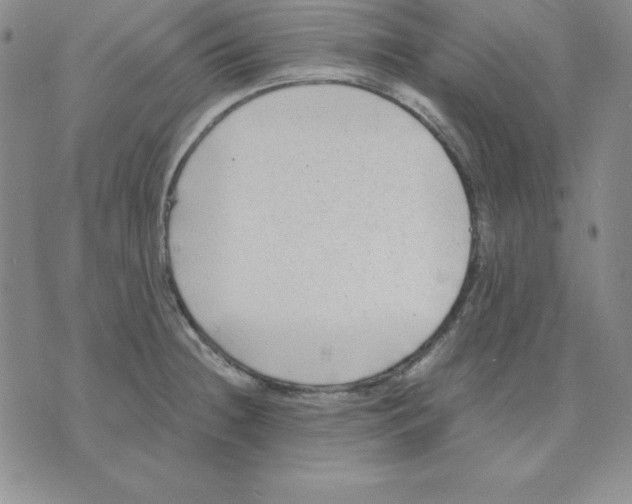 X0000075841236200610151537