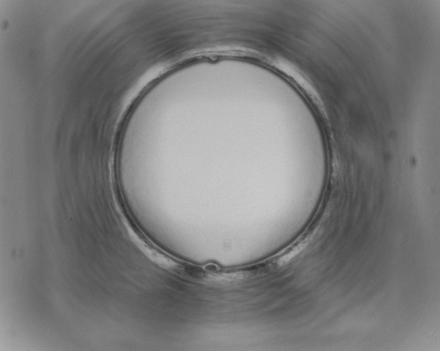 X0000075841237200610151537