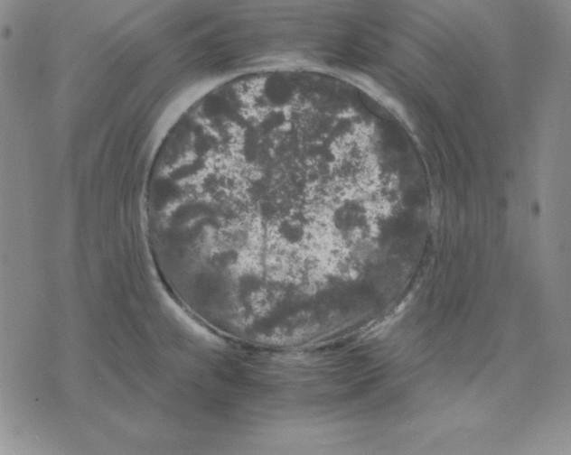 X0000075841239200610151537